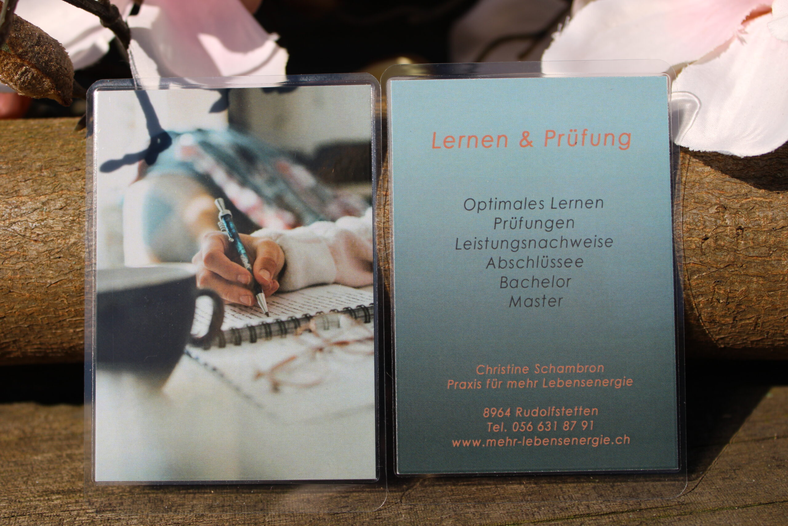 Christine Schambron Lern und Prüfungskarte